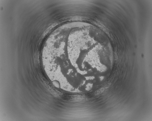 X0000069380347200606091656