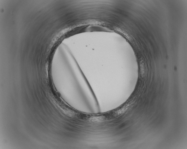 X0000069380350200606091656