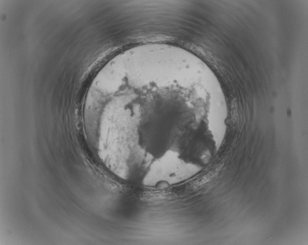 X0000069380351200606091656