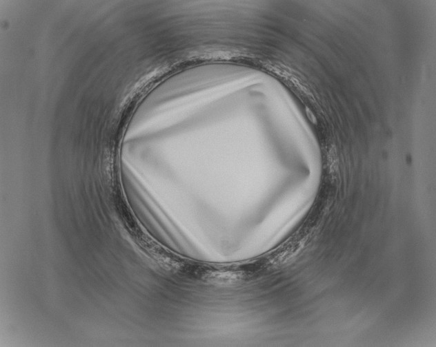 X0000069380352200606091656