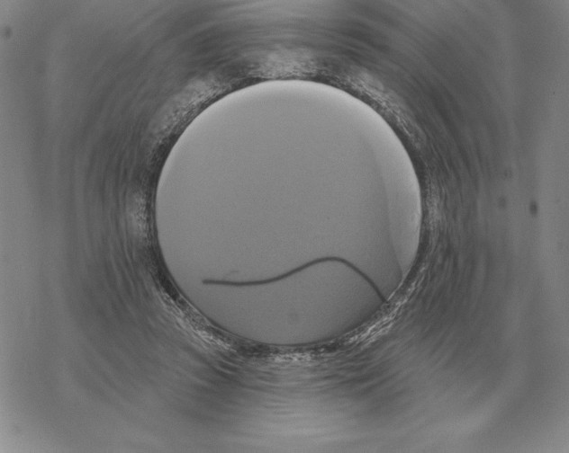 X0000069380353200606091656