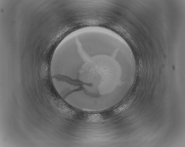 X0000069380355200606091656