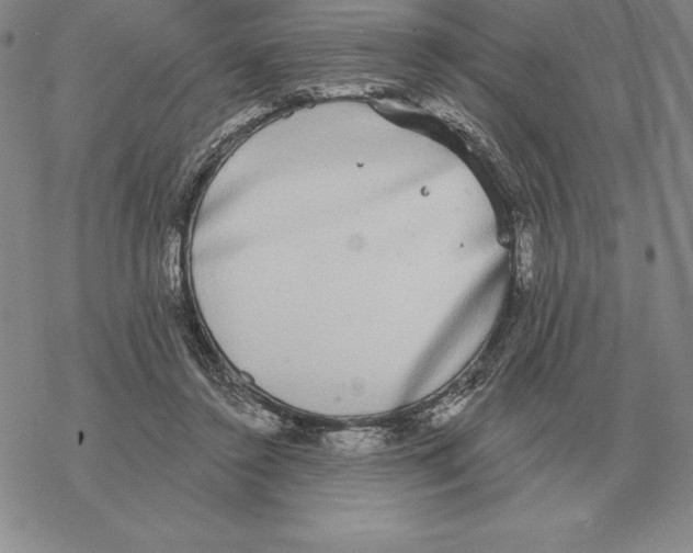 X0000069380356200606091657