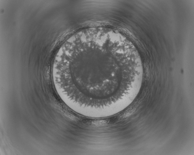 X0000069380357200606091657