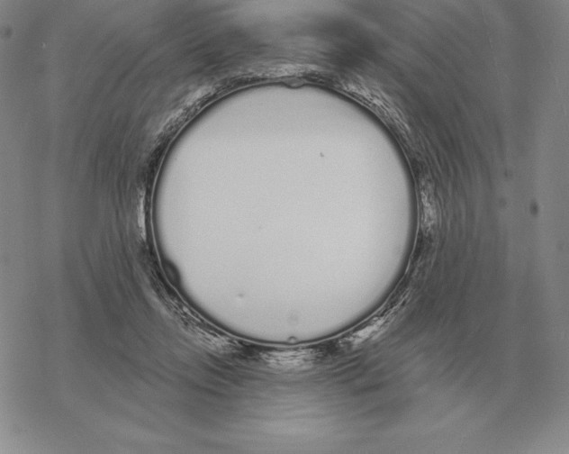 X0000069380358200606091657