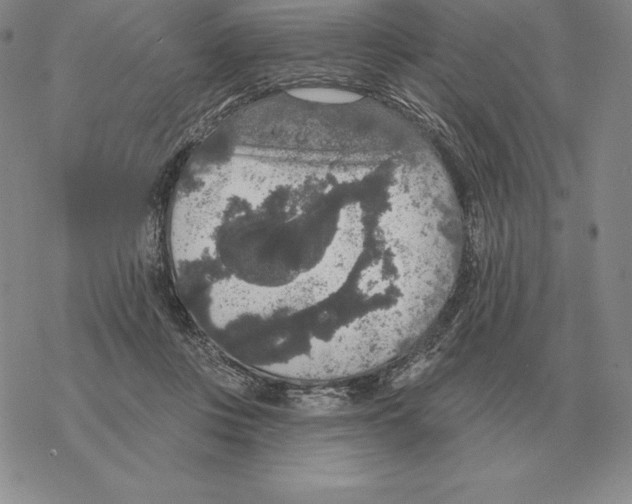 X0000069380359200606091657