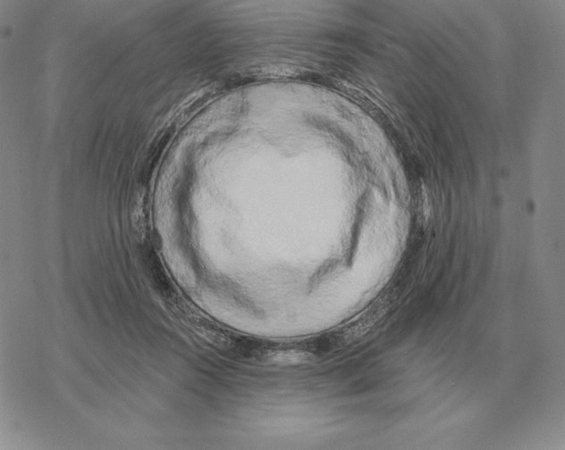 X0000069380360200606091657