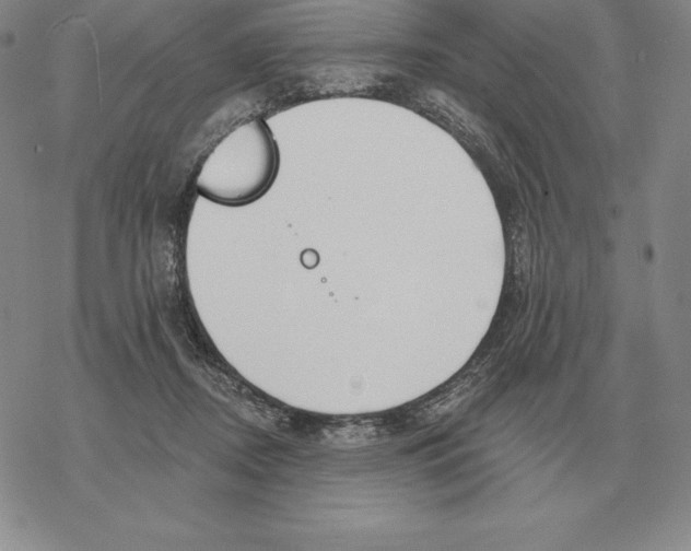 X0000069380362200606091657