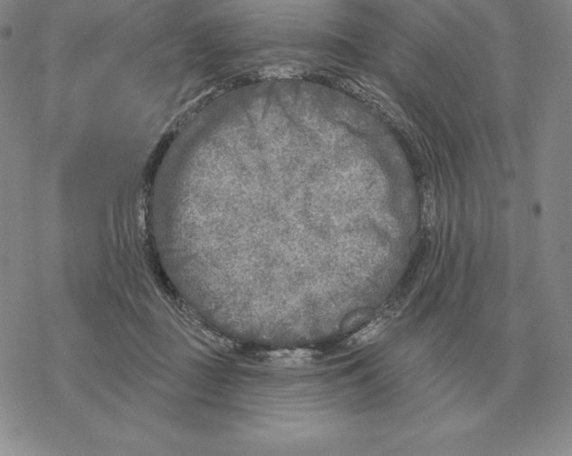 X0000069380363200606091657