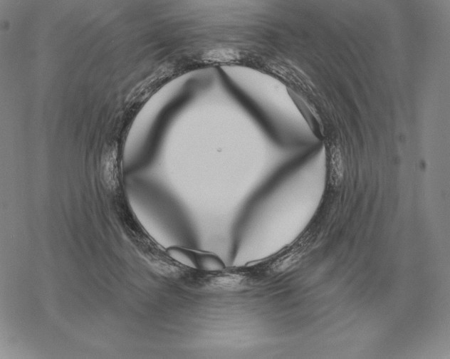 X0000069380364200606091657