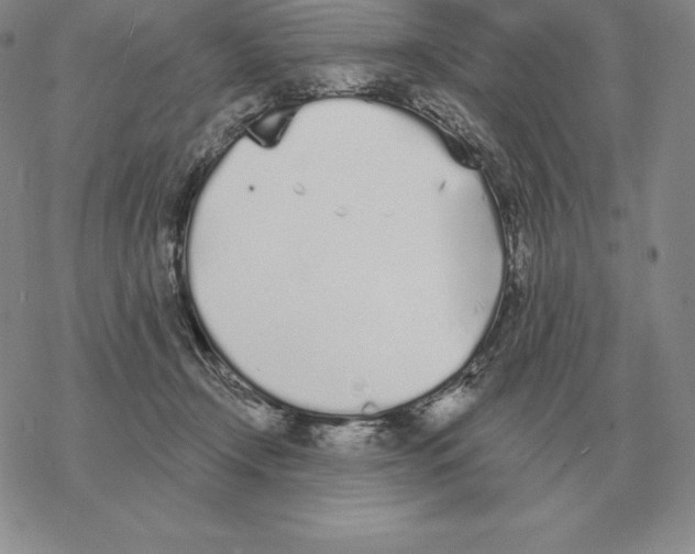 X0000069380366200606091657