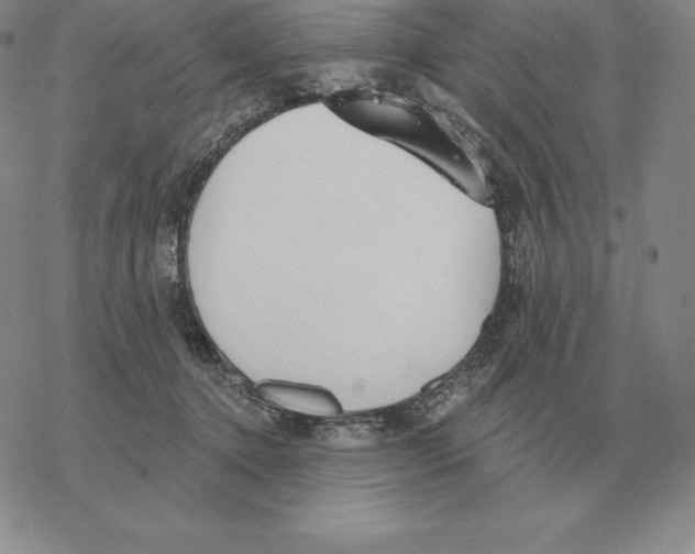 X0000069380368200606091657