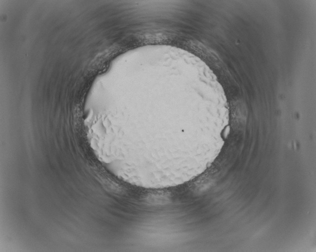 X0000069380369200606091657