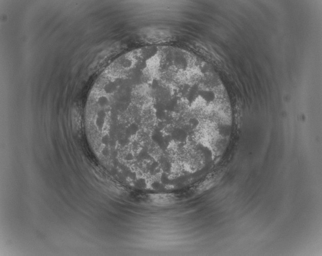 X0000069380371200606091657