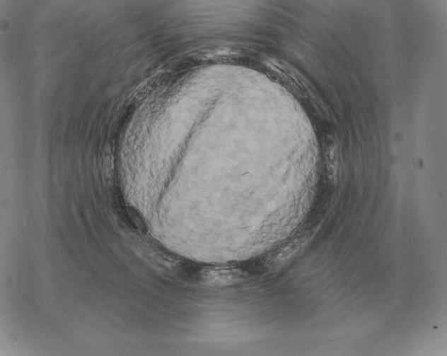 X0000069380372200606091657