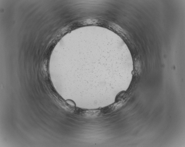 X0000069380373200606091657