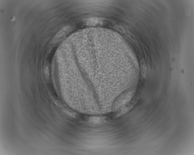 X0000069380375200606091657