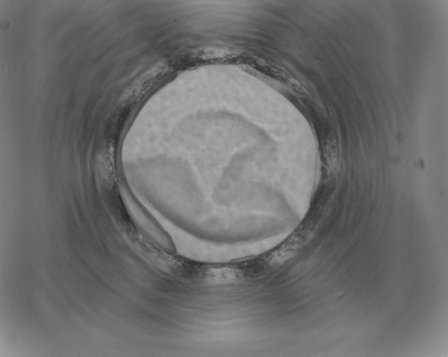 X0000069380376200606091657