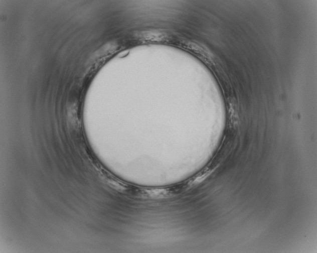 X0000069380377200606091657