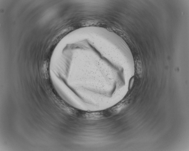 X0000069380378200606091657