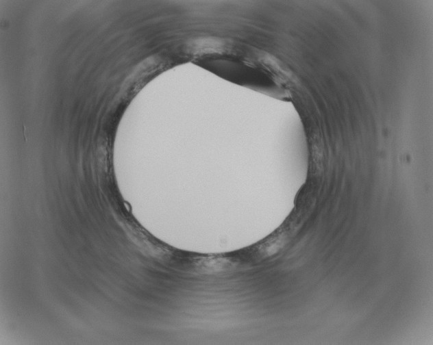 X0000069380379200606091657