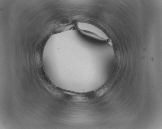 X0000069380380200606091657