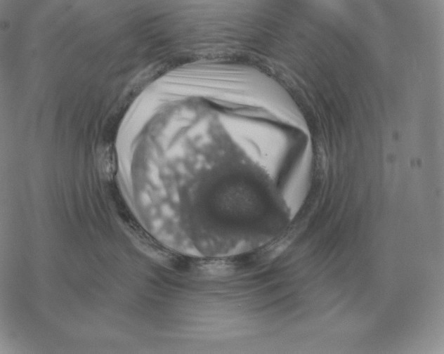 X0000069380383200606091657