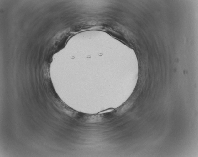 X0000069380384200606091657