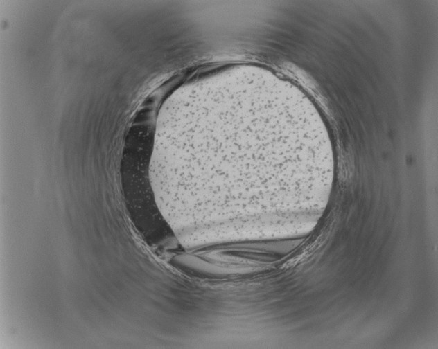 X0000069380385200606091656