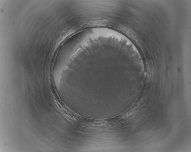 X0000069380386200606091656