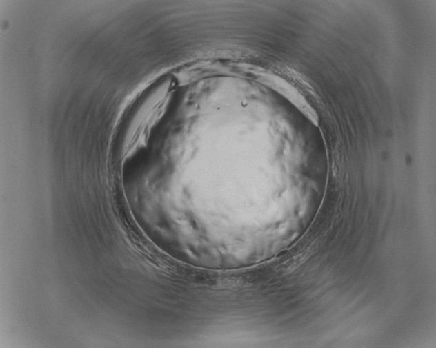 X0000069380388200606091656