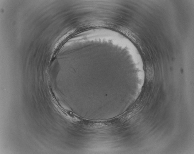 X0000069380390200606091656