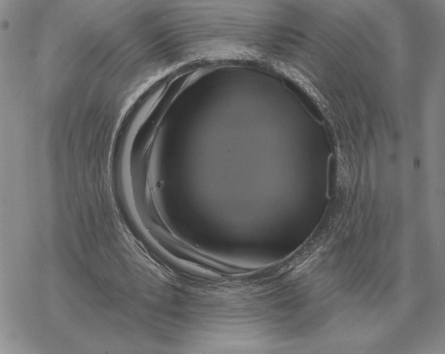 X0000069380391200606091656