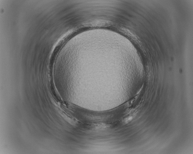 X0000069380392200606091656