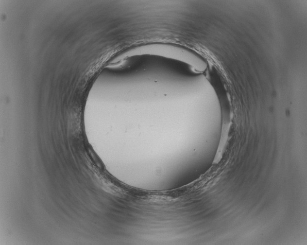 X0000069380393200606091656