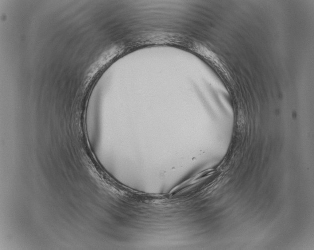 X0000069380394200606091656