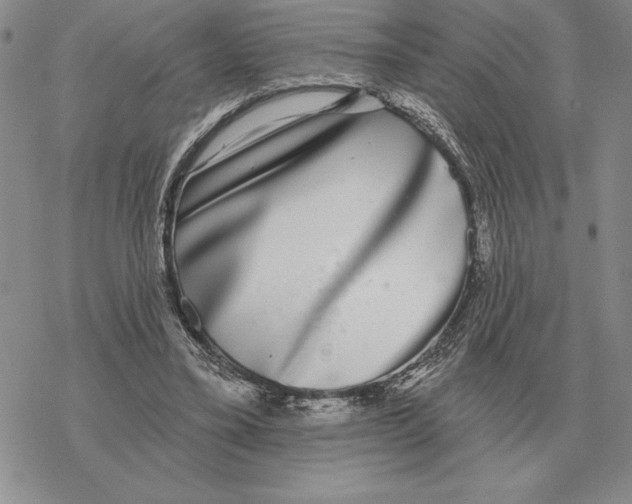 X0000069380395200606091656