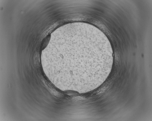 X0000069380397200606091656