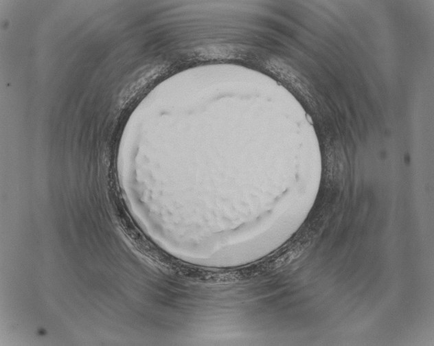 X0000069380398200606091656