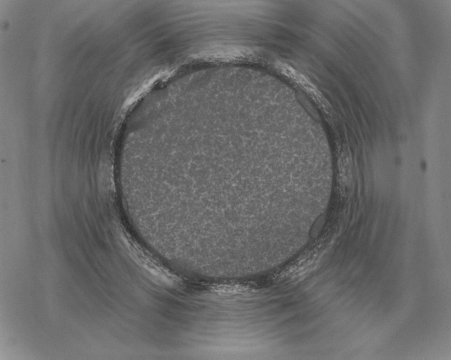 X0000069380399200606091656