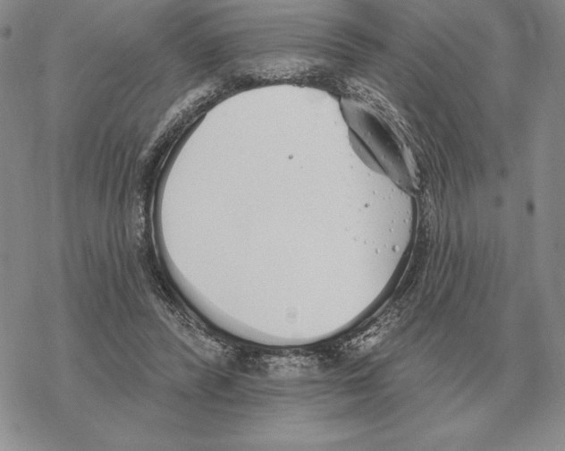 X0000069380400200606091656