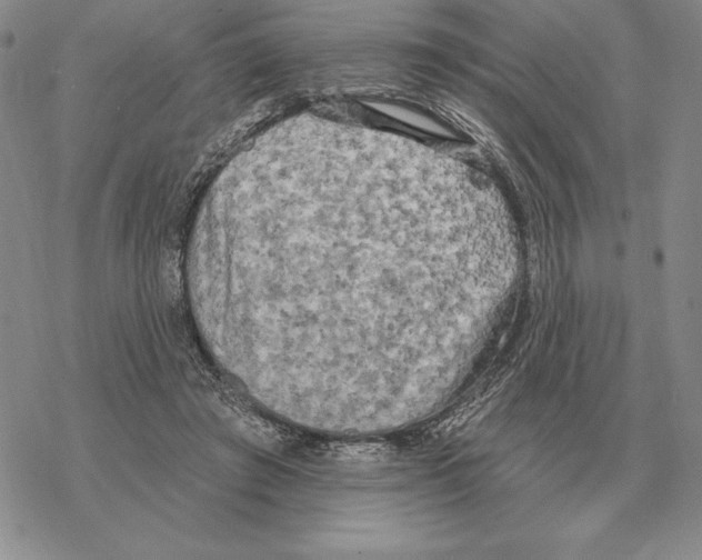 X0000069380401200606091656