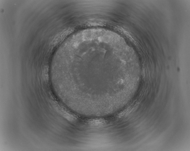 X0000069380402200606091656