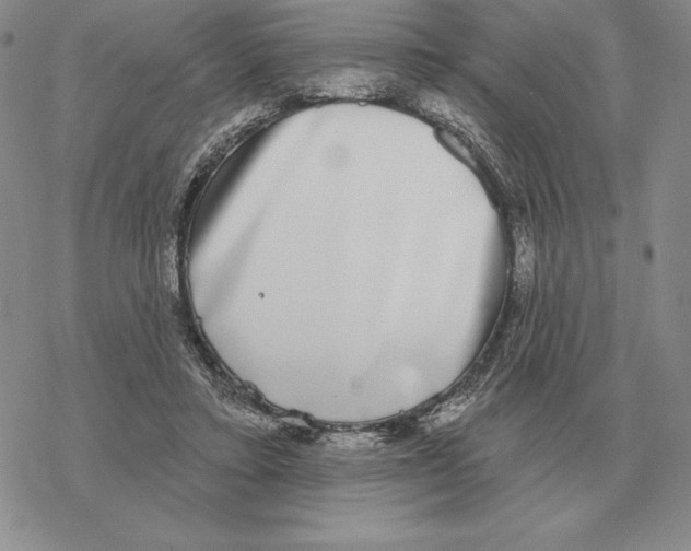 X0000069380403200606091656