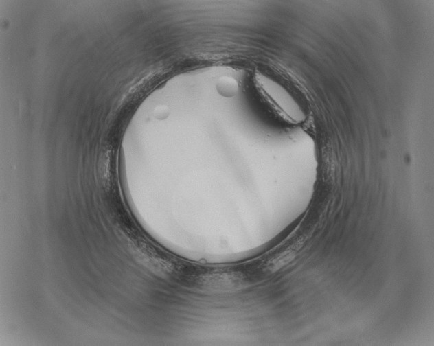 X0000069380404200606091656