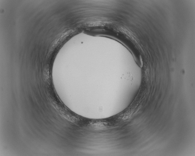 X0000069380407200606091656