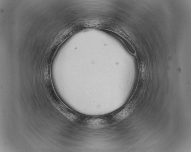 X0000069380408200606091656