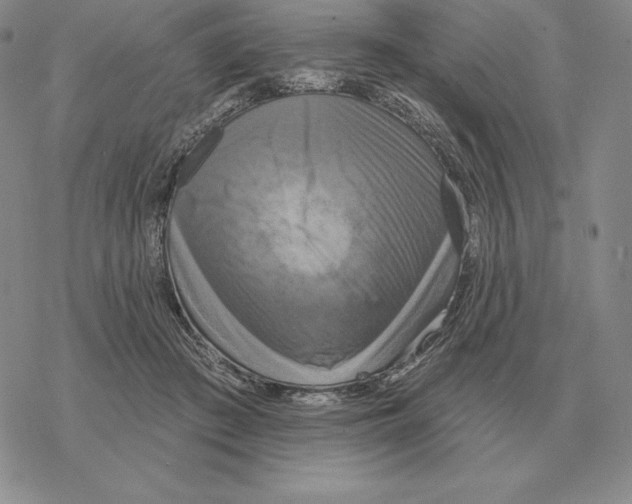 X0000069380409200606091656