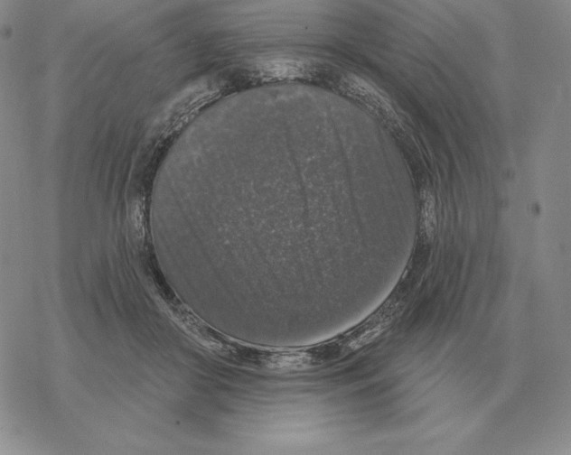 X0000069380410200606091656