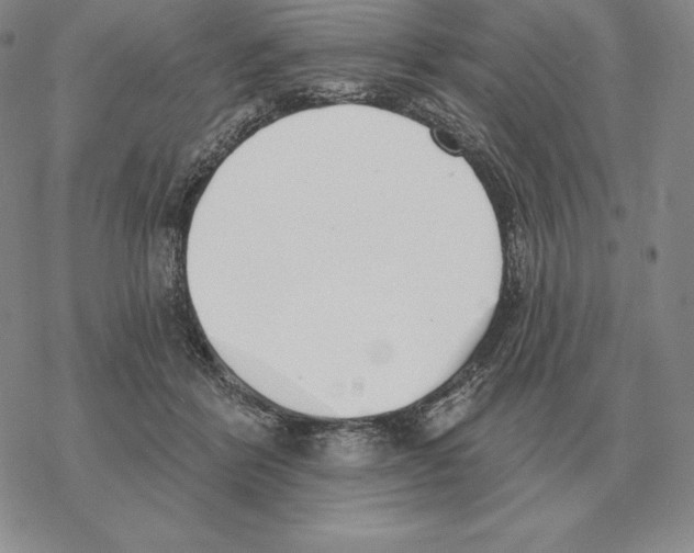 X0000069380412200606091656